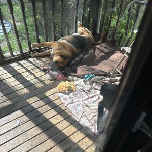 Meet your Posher, Jackie